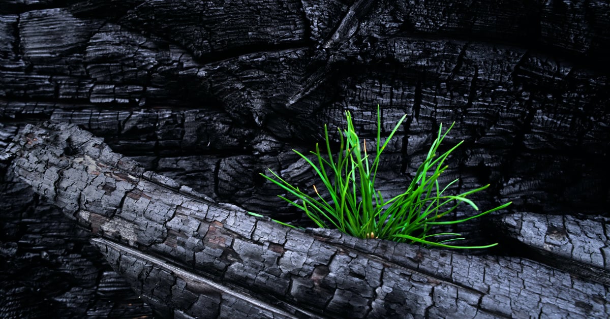 Talk About Growth 1200px